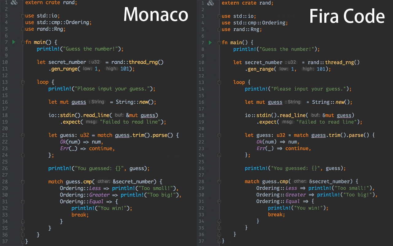 Monaco vs Fira Code @ IDEA